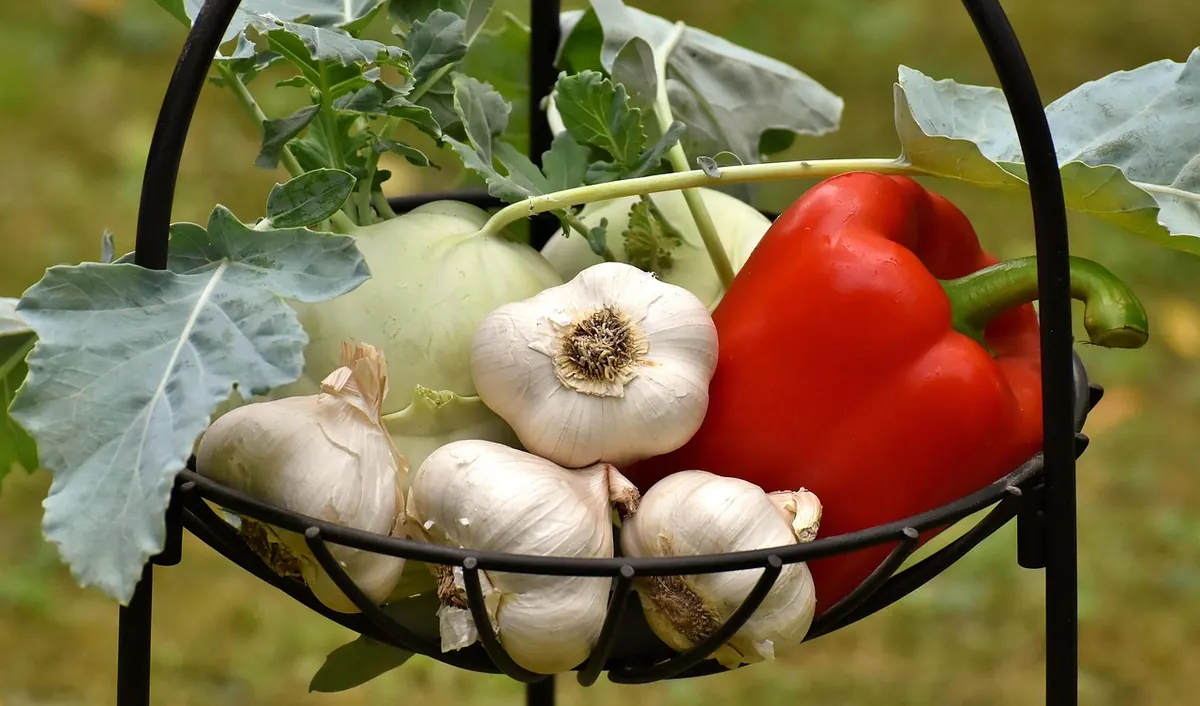Companion Planting for Allotments: What to Grow Together and What to Avoid