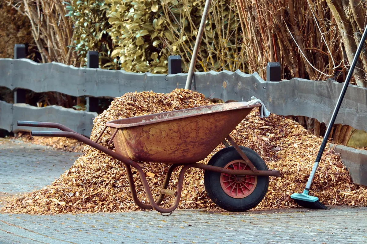 No-Dig Gardening Explained: Benefits, Drawbacks, and How to Start