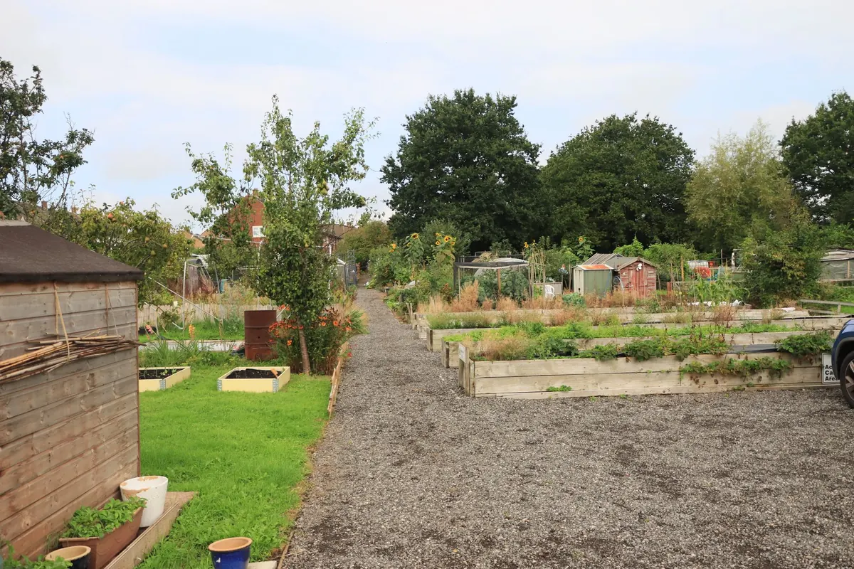Seasonal Allotment Calendar: Monthly Jobs for UK Plot Holders